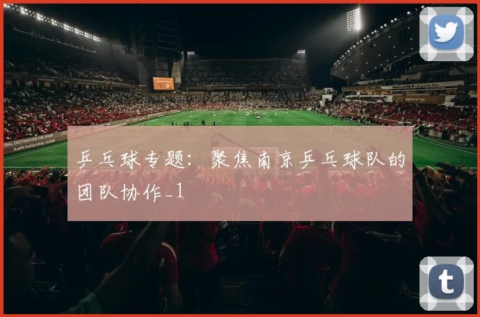 乒乓球专题：聚焦南京乒乓球队的团队协作_1