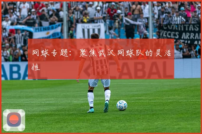 网球专题：聚焦武汉网球队的灵活性