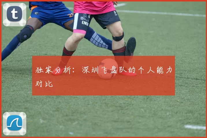 独家分析：深圳飞盘队的个人能力对比