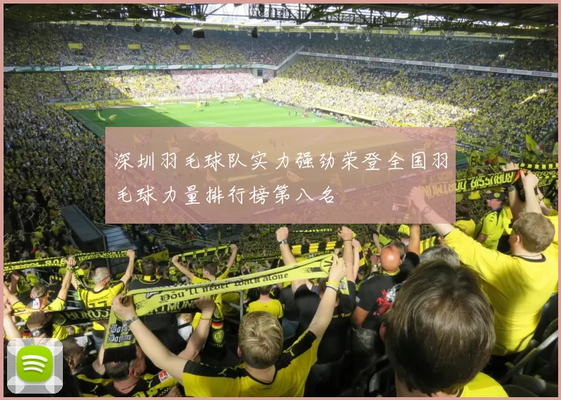 深圳羽毛球队实力强劲荣登全国羽毛球力量排行榜第八名