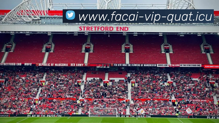 米兰体育服务体系